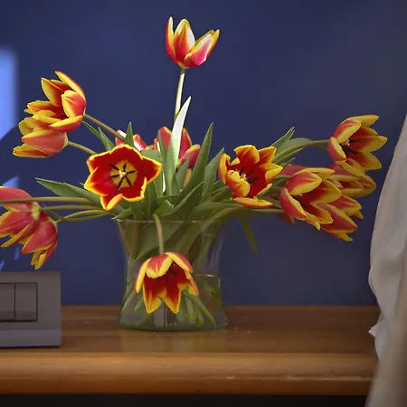 Mistral2 Otel Oristano